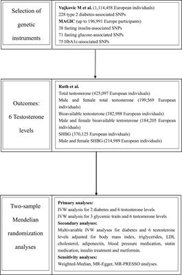 New evidence for the effect of type 2 diabetes and glycemic traits on testosterone levels: a two-sample Mendelian randomization study